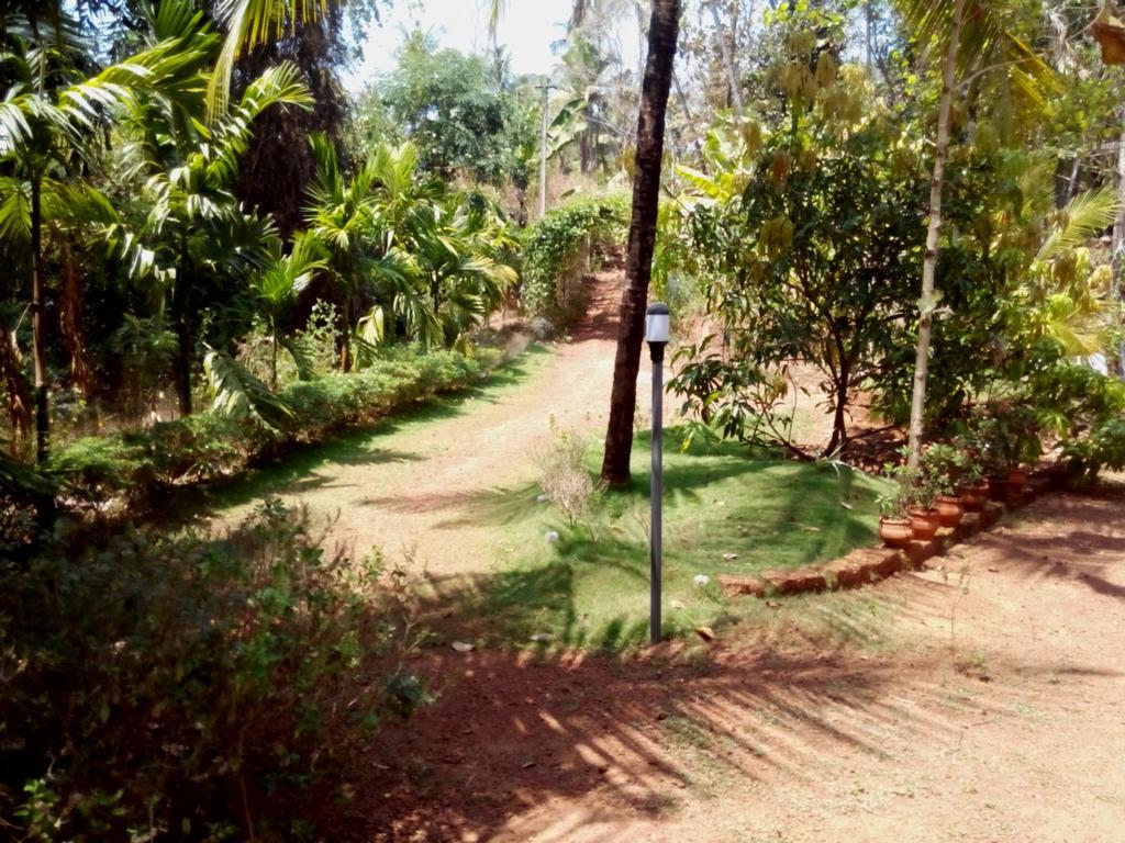 Ocean Green Kerala Kannur Zewnętrze zdjęcie