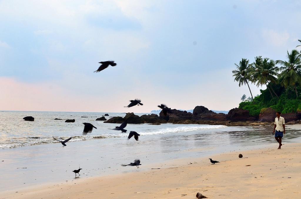 Ocean Green Kerala Kannur Zewnętrze zdjęcie