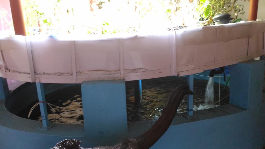 Ocean Green Kerala Kannur Zewnętrze zdjęcie