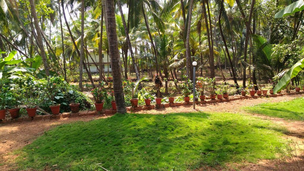 Ocean Green Kerala Kannur Zewnętrze zdjęcie
