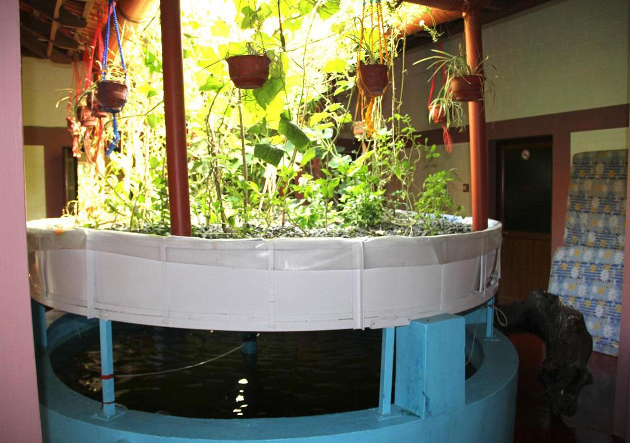 Ocean Green Kerala Kannur Zewnętrze zdjęcie