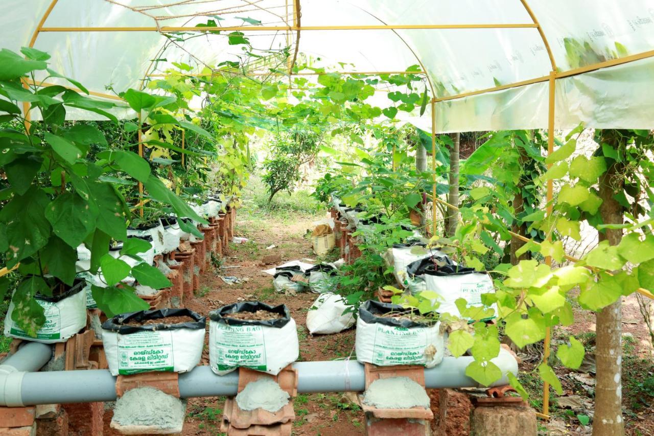 Ocean Green Kerala Kannur Zewnętrze zdjęcie