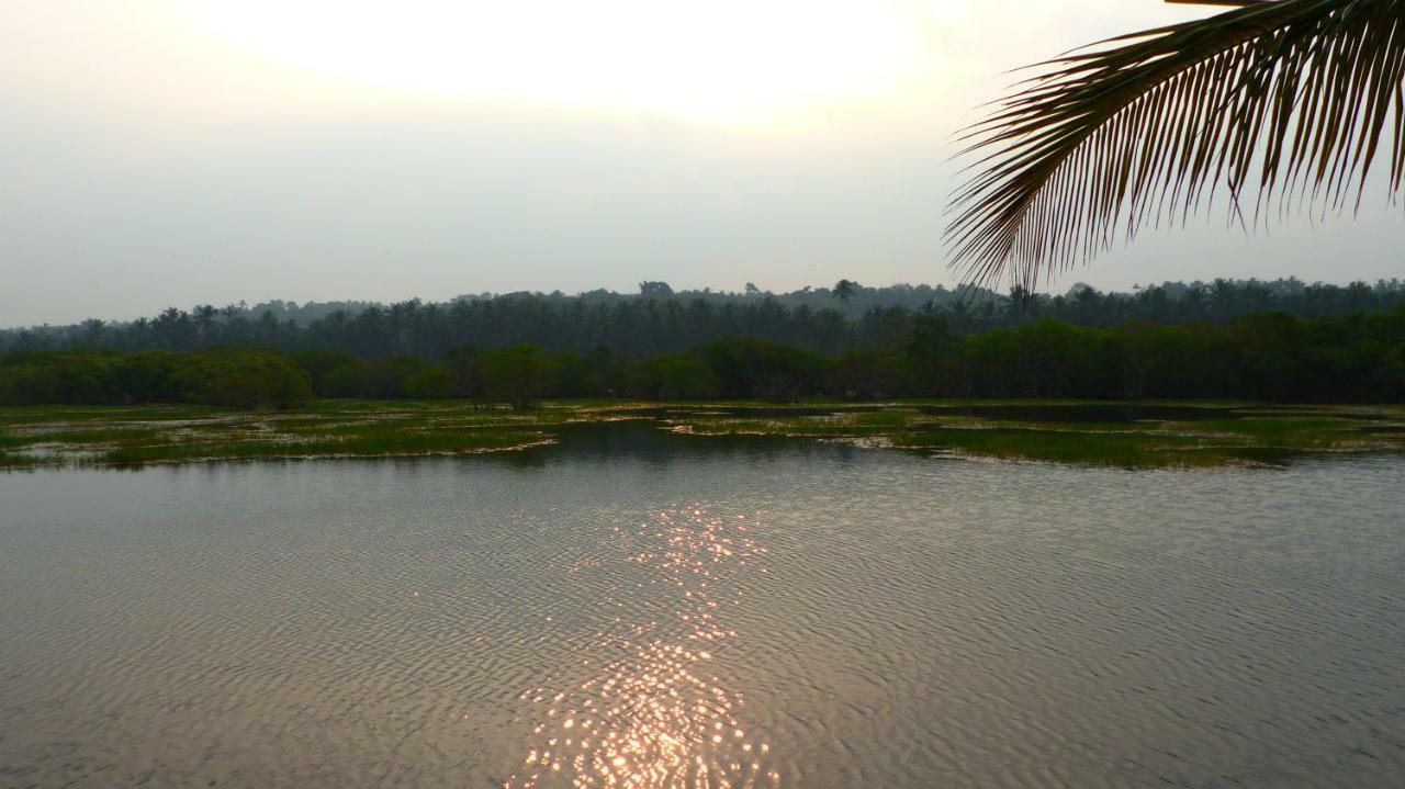 Ocean Green Kerala Kannur Zewnętrze zdjęcie
